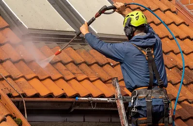 Démoussage et hydrofuge de toiture à Thérouldeville
